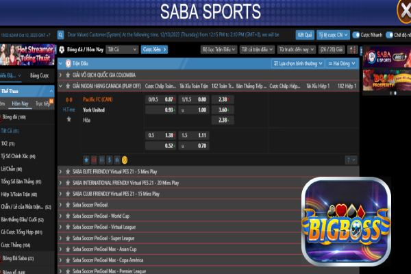 Bigboss Hướng Dẫn Cách Chơi Saba Sport